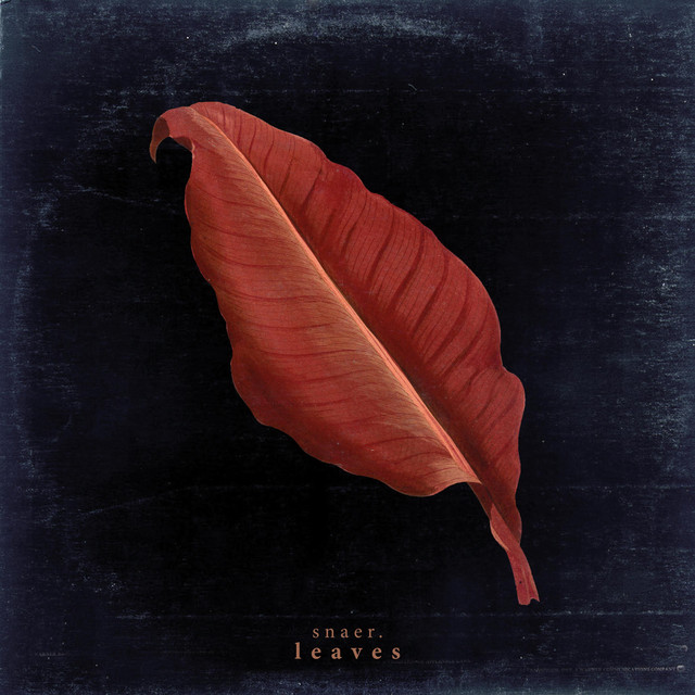 Leaves album cover