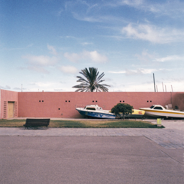 Under Palm Trees album cover