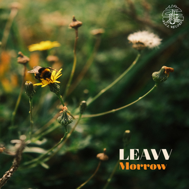 Morrow