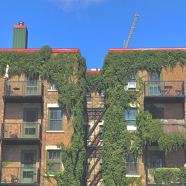 Building II album cover
