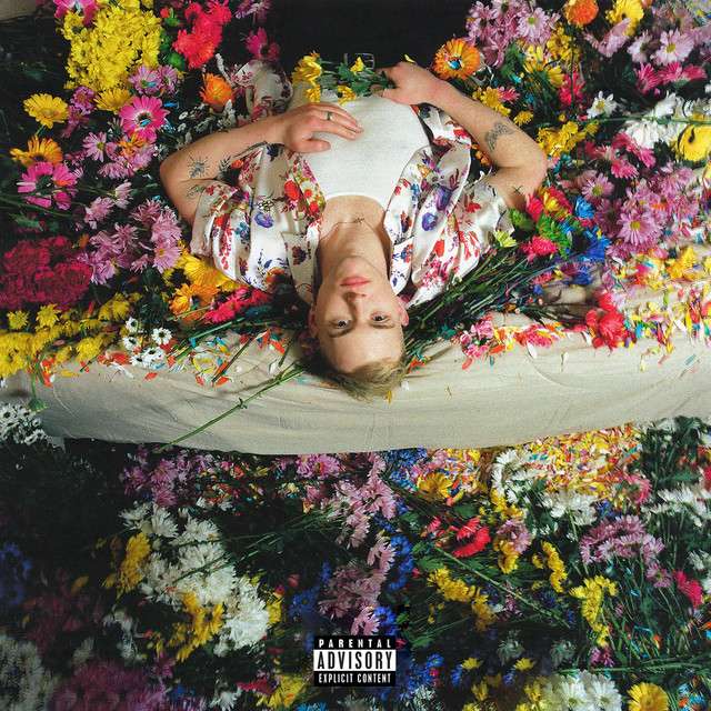 Nicotine album cover