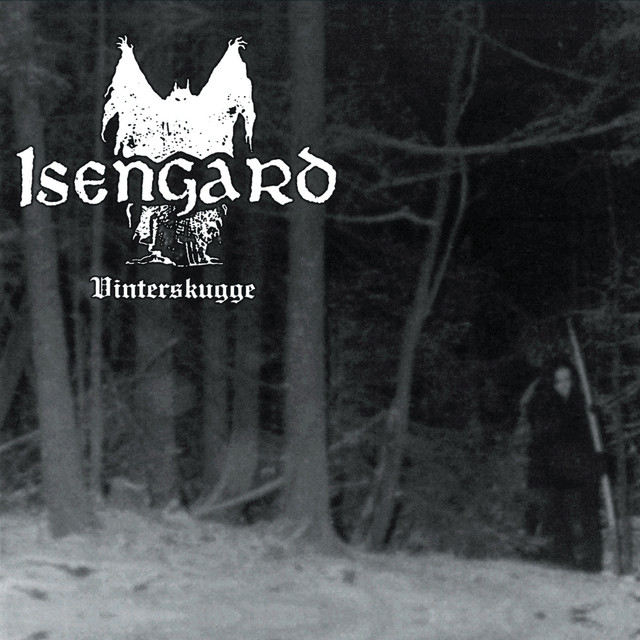 Vinterskugge album cover