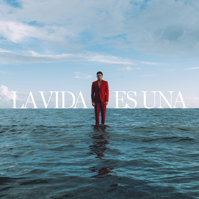 LA VIDA ES UNA album cover
