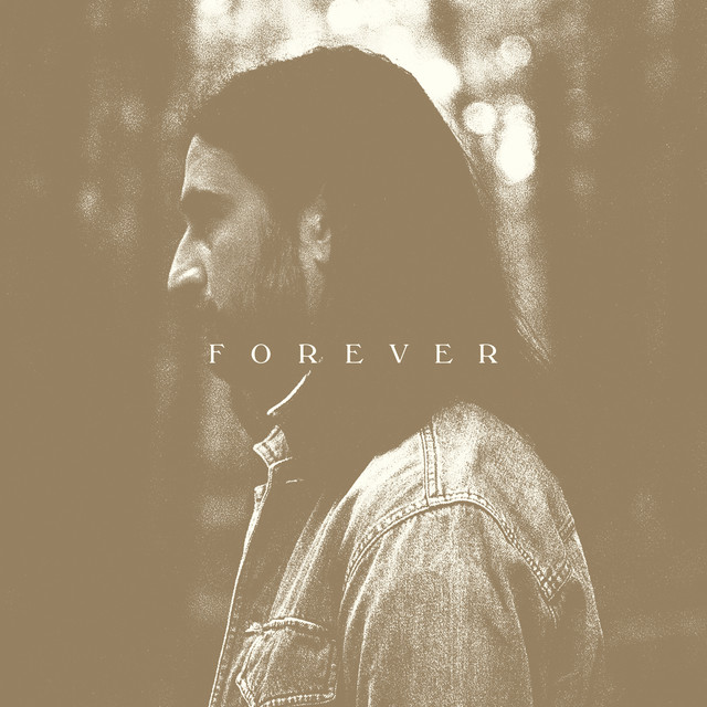 Stick Season (Forever) album cover