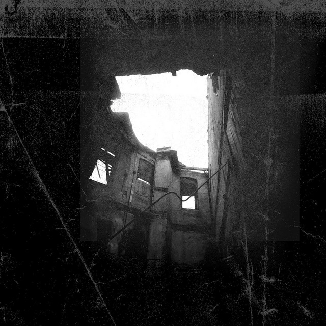 Transient album cover