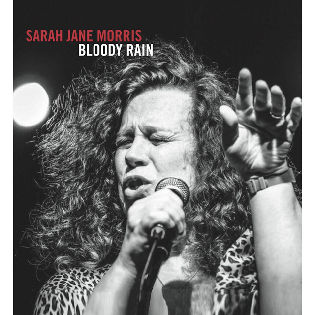 Bloody Rain album cover