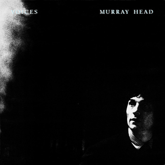 Voices album cover