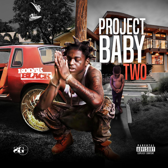 Project Baby 2: All Grown Up album cover