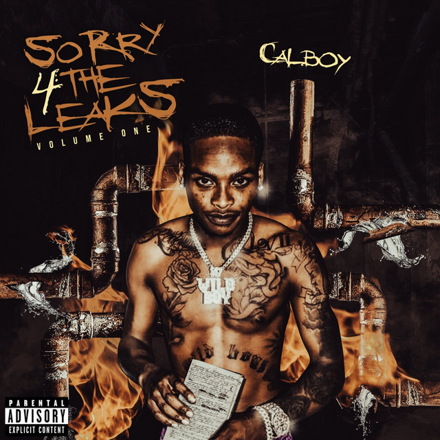 Sorry 4 The Leaks Vol. 1 album cover