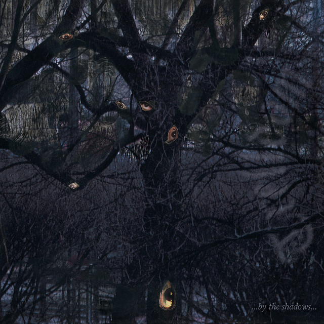 ...By The Shadows... album cover