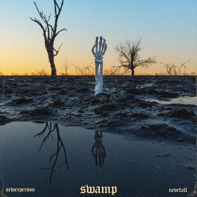 Swamp album cover