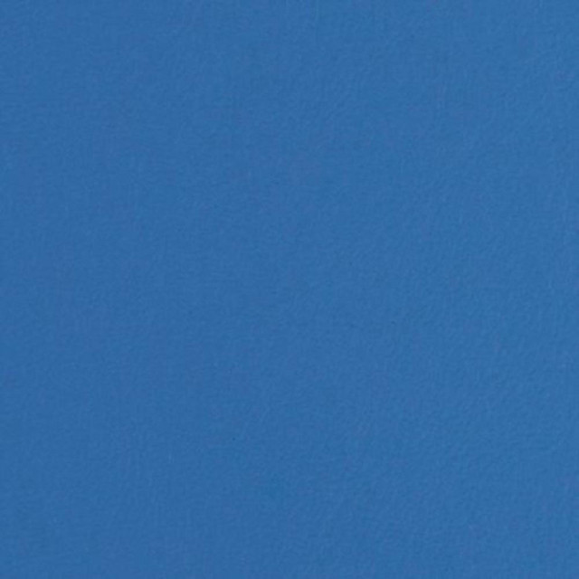 blue album cover