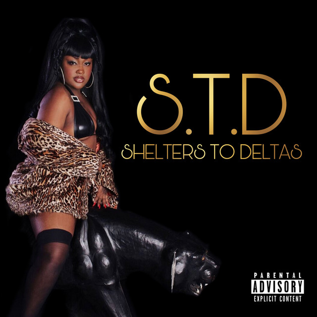 S.T.D album cover
