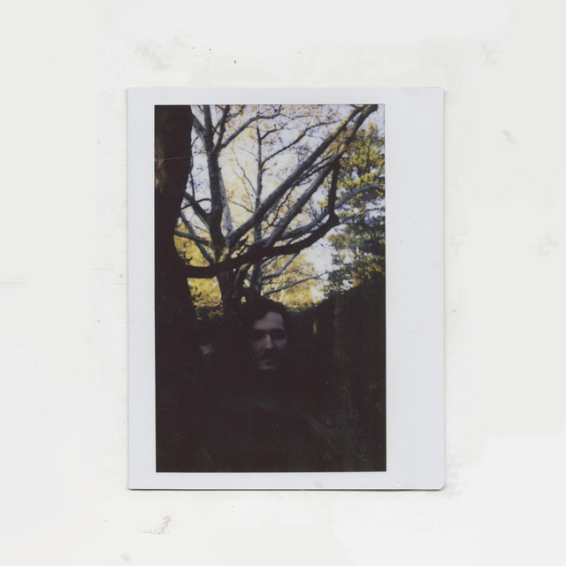 Monstera album cover