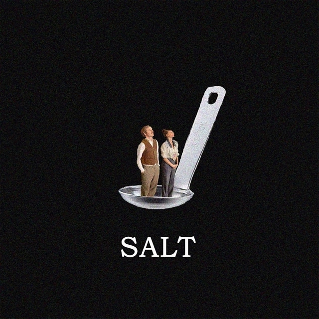 Salt album cover