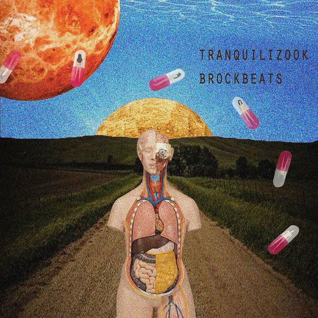 Tranquilizook album cover