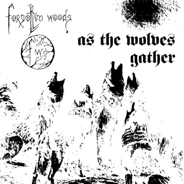 Forgotten Woods Members, Gear & Sound | Equipboard