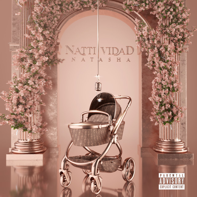 NATTIVIDAD album cover