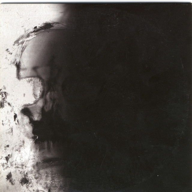 The Pulse of Decay album cover