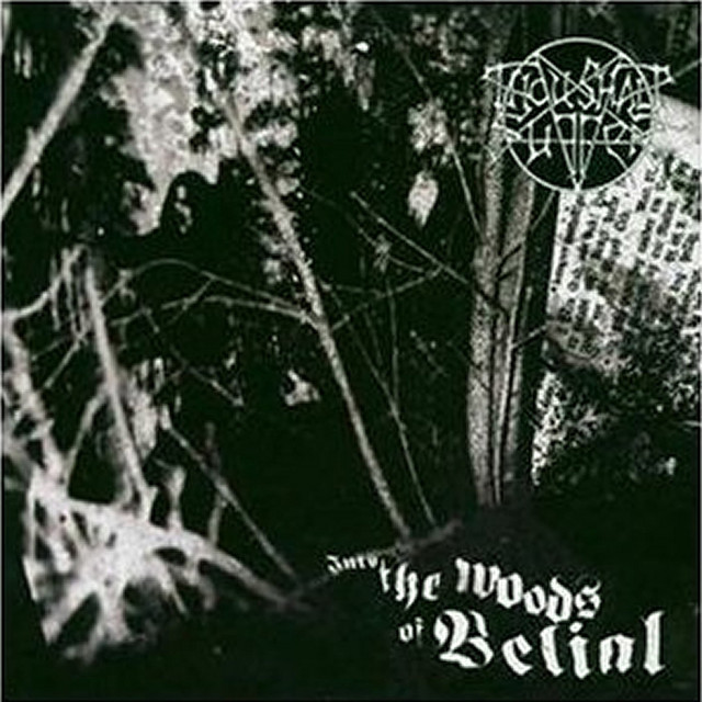 Into the Woods of Belial album cover