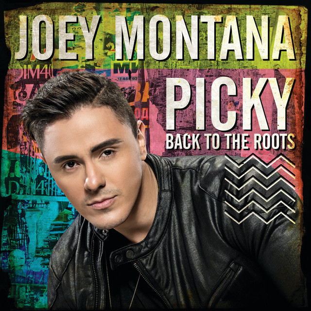 Picky Back To The Roots album cover