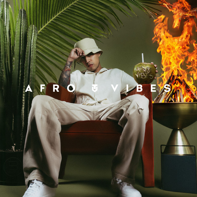 Afro Vibes (2024-07-19) album cover