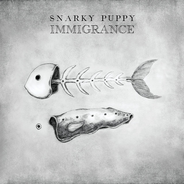Danelectro Baby Sitar as heard on Immigrance by Snarky Puppy (2019)