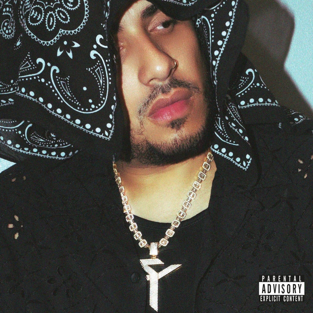NEMESIS album cover