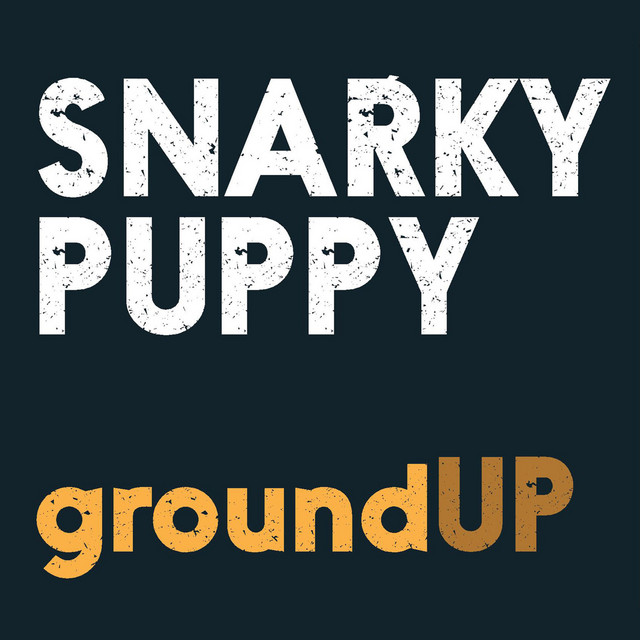 Fender Precision Bass (1952) as heard on GroundUP by Snarky Puppy (2012)
