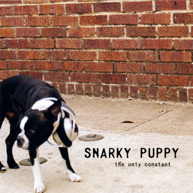 The Only Constant album cover