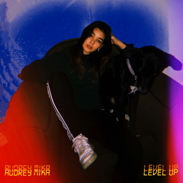 Level Up album cover