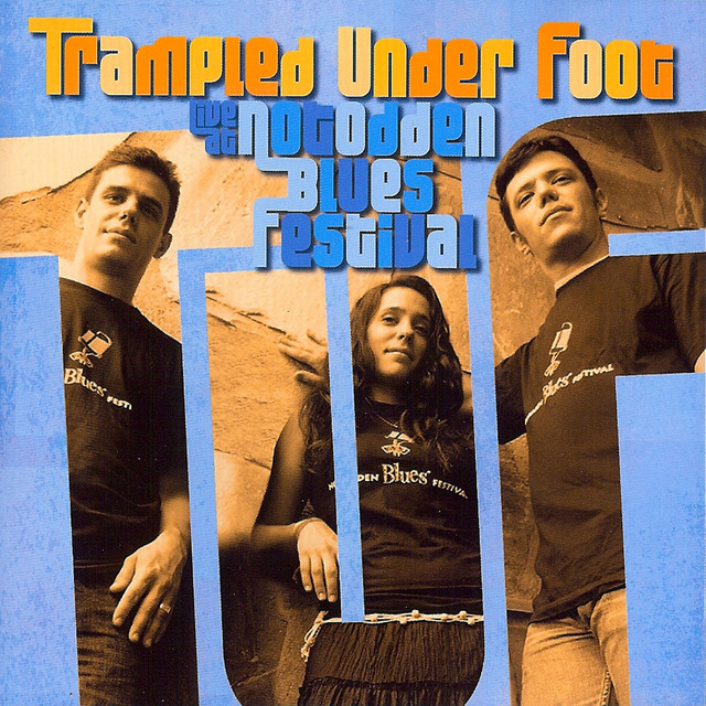 Live at Notodden Blues Festival album cover