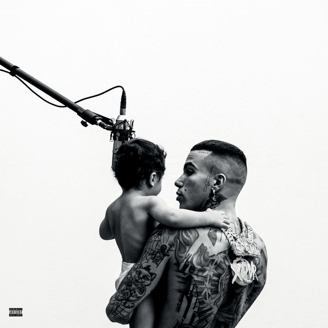 X2VR album cover
