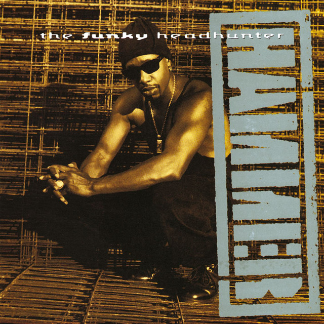The Funky Headhunter album cover