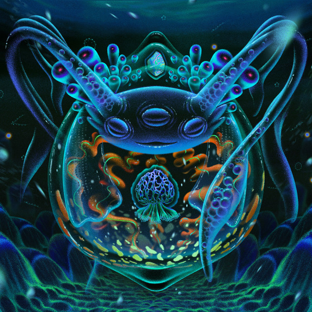 Sonicware LIVEN 8bit Warps as heard on Oquo by Ozoyo (2021)