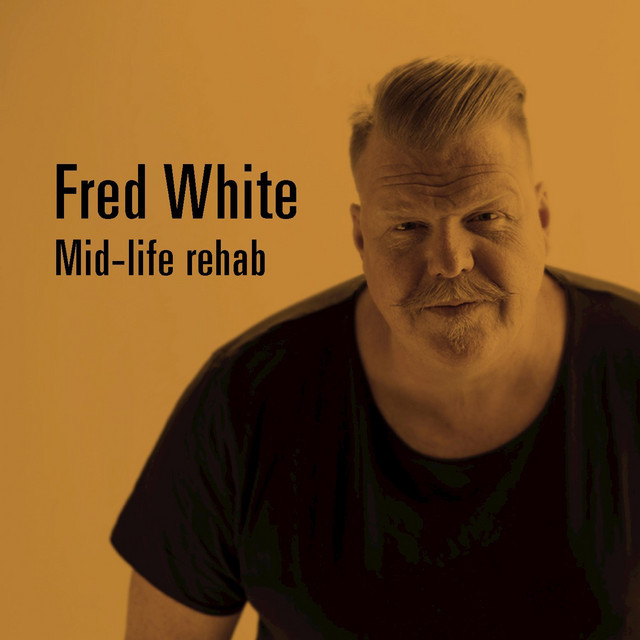Mid-life rehab album cover