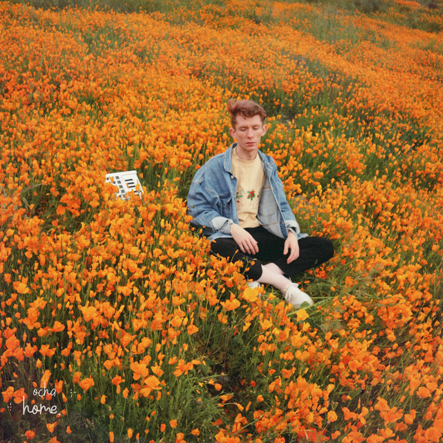 home. album cover