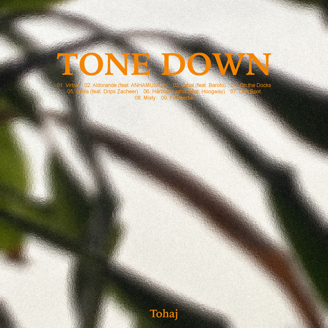Tone Down album cover