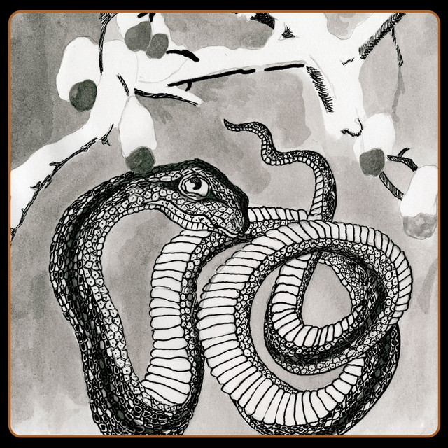 Serpent Umbrella album cover