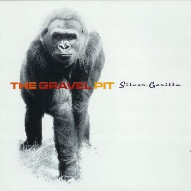Silver Gorilla album cover