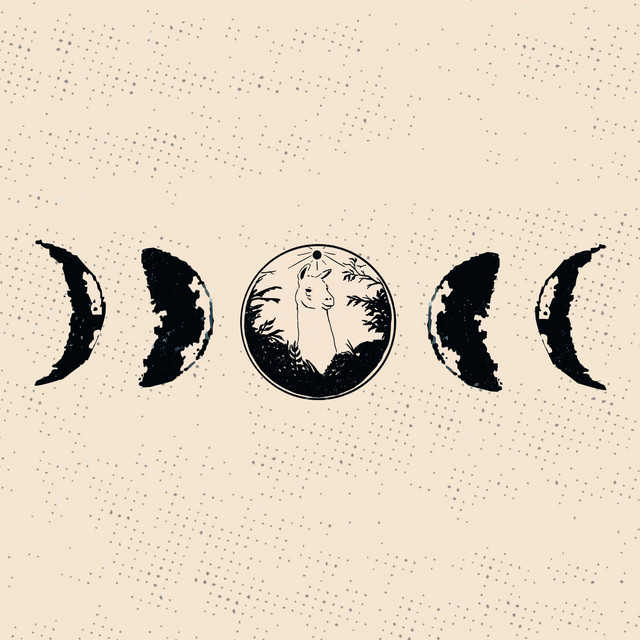 Llama Moon album cover