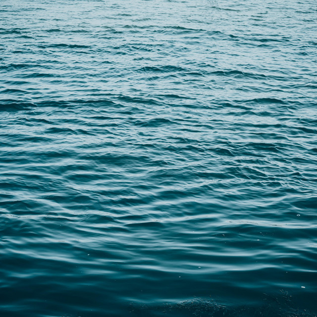 Black Water