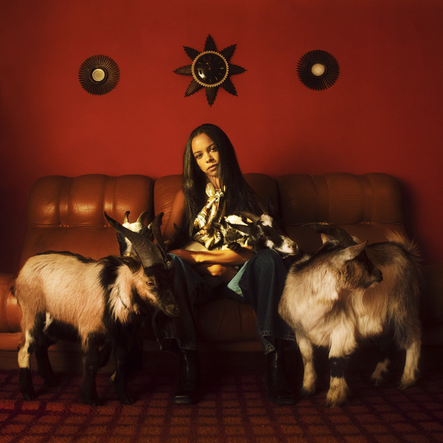 Capricorn Sun album cover