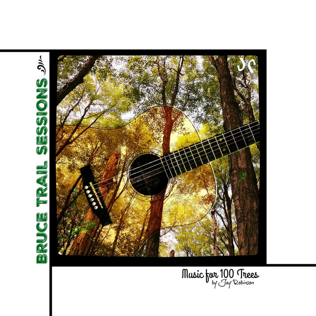 Bruce Trail Sessions: Music for 100 Trees album cover