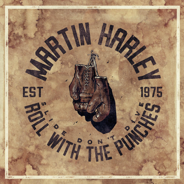 Roll With the Punches album cover