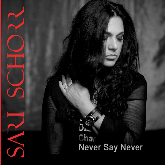 Never Say Never album cover