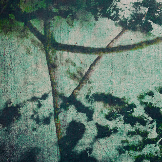 Rorschach