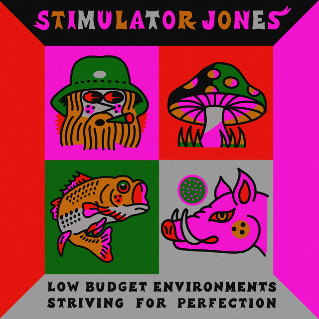 Low Budget Environments Striving For Perfection album cover