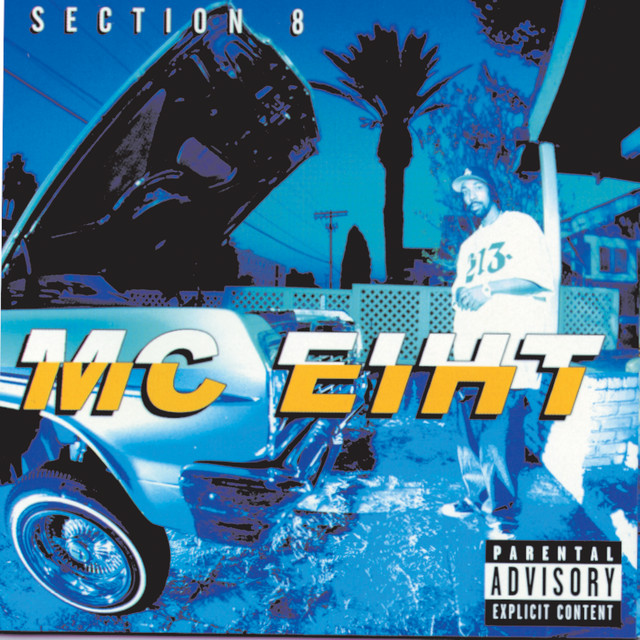 Section 8 album cover