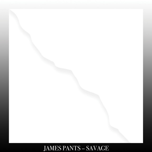 Savage album cover